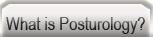 What is Posturology